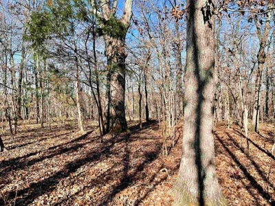 River Front Land for sale Fulton County, AR - image 31