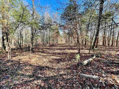 River Front Land for sale Fulton County, AR - image 24