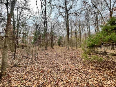 River Front Land for sale Fulton County, AR - image 10