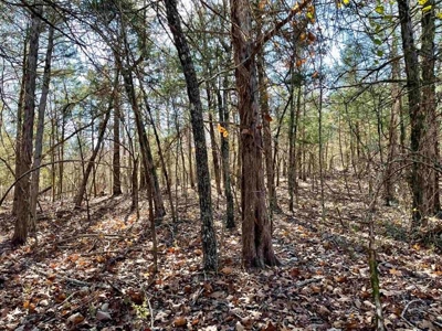 River Front Land for sale Fulton County, AR - image 22