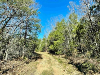 River Front Land for sale Fulton County, AR - image 19