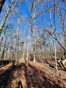 River Front Land for sale Fulton County, AR - image 28