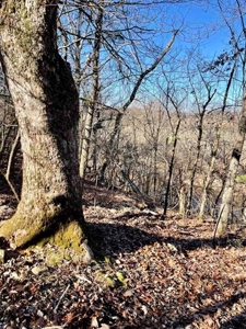 River Front Land for sale Fulton County, AR - image 30