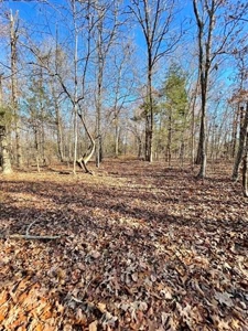 River Front Land for sale Fulton County, AR - image 26