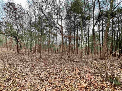 River Front Land for sale Fulton County, AR - image 3