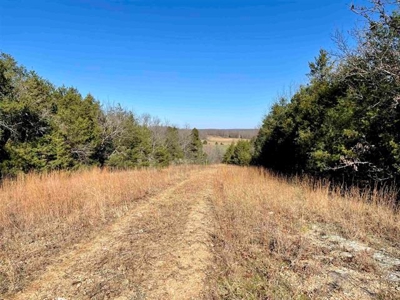 River Front Land for sale Fulton County, AR - image 29