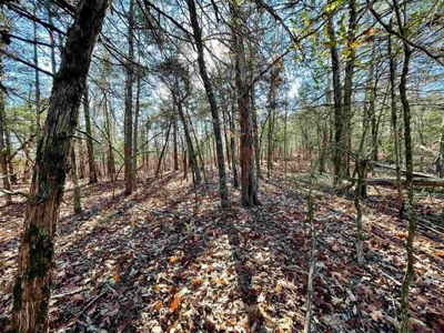 River Front Land for sale Fulton County, AR - image 23