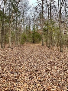 River Front Land for sale Fulton County, AR - image 4