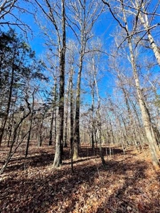 River Front Land for sale Fulton County, AR - image 27