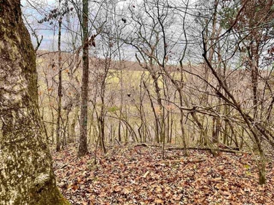 River Front Land for sale Fulton County, AR - image 9