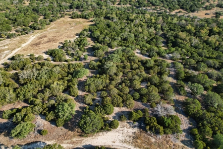 5255 Private Road 42125 – 10.02 Acres in Evant, TX - image 8