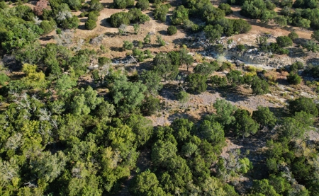 5255 Private Road 42125 – 10.02 Acres in Evant, TX - image 13
