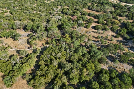 5255 Private Road 42125 – 10.02 Acres in Evant, TX - image 12