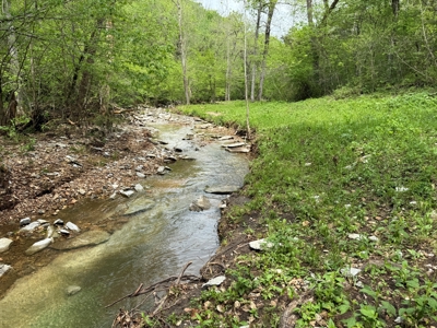 Home With Large Hunting Acreage And Farming Land In Arkansas - image 44