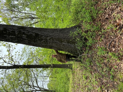 Home With Large Hunting Acreage And Farming Land In Arkansas - image 49