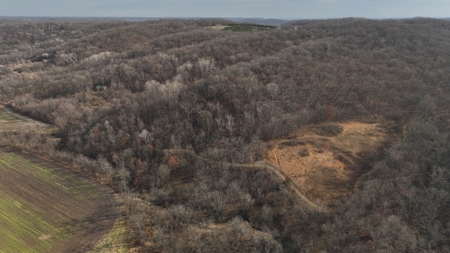 Premium Hunting Land with Cabin for sale in Southwest Wiscon - image 26