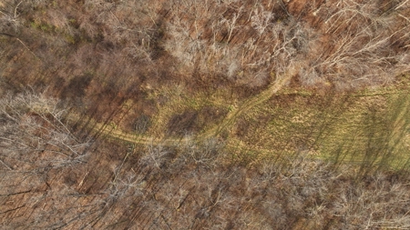 Premium Hunting Land with Cabin for sale in Southwest Wiscon - image 25