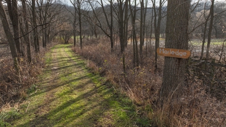 Premium Hunting Land with Cabin for sale in Southwest Wiscon - image 19