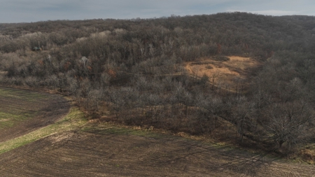 Premium Hunting Land with Cabin for sale in Southwest Wiscon - image 46
