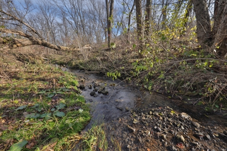 Premium Hunting Land with Cabin for sale in Southwest Wiscon - image 20