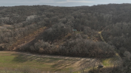 Premium Hunting Land with Cabin for sale in Southwest Wiscon - image 27