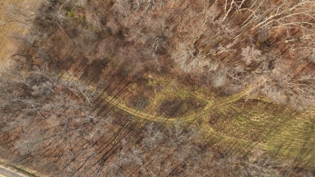 Extraordinary Hunting Land for sale in Richland County, WI - image 25