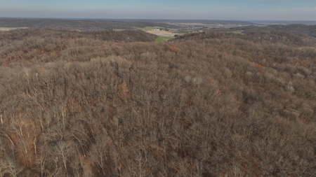 Extraordinary Hunting Land for sale in Richland County, WI - image 17