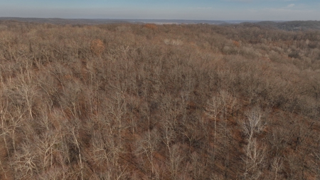 Extraordinary Hunting Land for sale in Richland County, WI - image 16