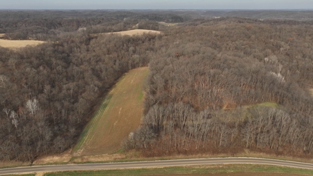 Extraordinary Hunting Land for sale in Richland County, WI - image 22