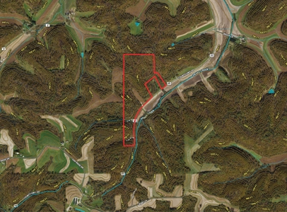 Extraordinary Hunting Land for sale in Richland County, WI - image 36