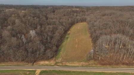 Extraordinary Hunting Land for sale in Richland County, WI - image 21