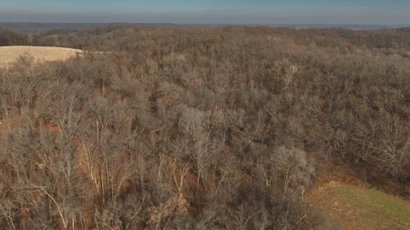 Extraordinary Hunting Land for sale in Richland County, WI - image 15