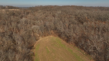 Extraordinary Hunting Land for sale in Richland County, WI - image 14