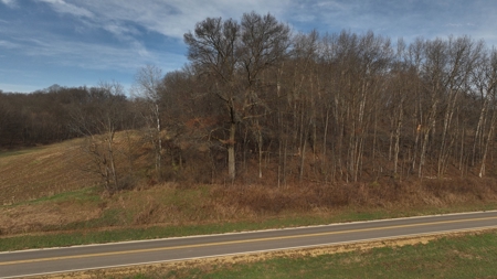 Extraordinary Hunting Land for sale in Richland County, WI - image 24