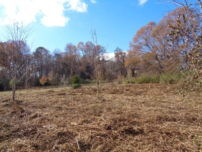 Farm for sale in Surgoinsville, Tennessee - image 36