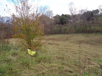 Farm for sale in Surgoinsville, Tennessee - image 23