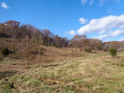Farm for sale in Surgoinsville, Tennessee - image 29