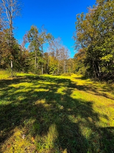 Van Buren Missouri Land Near Current River For Sale - image 3