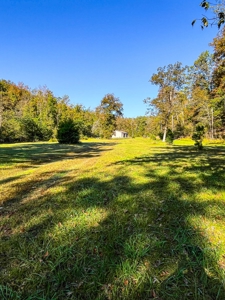 Van Buren Missouri Land Near Current River For Sale - image 2