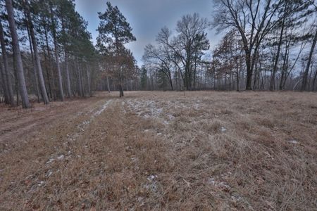Hunting Land for Sale in Adams County, Wisconsin - image 26