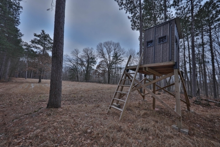 Hunting Land for Sale in Adams County, Wisconsin - image 25