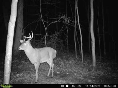 Hunting Land for Sale in Adams County, Wisconsin - image 22