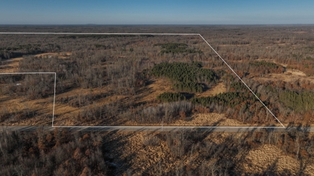 Hunting Land for Sale in Adams County, Wisconsin - image 48