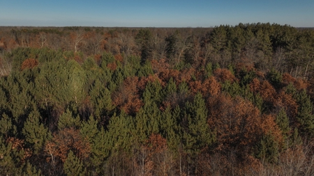 Hunting Land for Sale in Adams County, Wisconsin - image 15