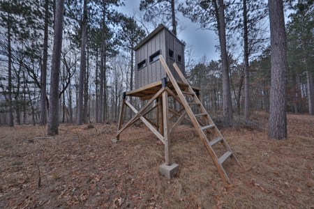 Hunting Land for Sale in Adams County, Wisconsin - image 24
