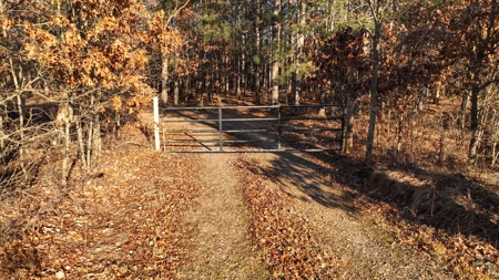 Hunting Land for Sale in Adams County, Wisconsin - image 38