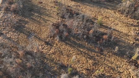 Hunting Land for Sale in Adams County, Wisconsin - image 29