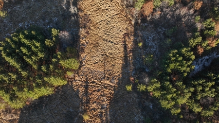 Hunting Land for Sale in Adams County, Wisconsin - image 33