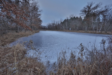 Hunting Land for Sale in Adams County, Wisconsin - image 9