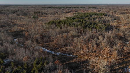Hunting Land for Sale in Adams County, Wisconsin - image 31